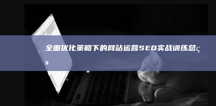 全面优化策略下的网站运营SEO实战训练总结